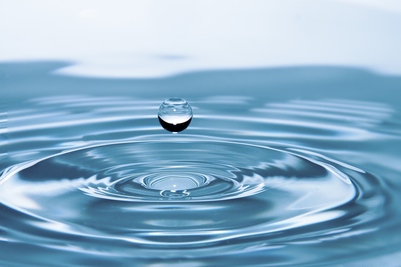 La gestion de l'eau dans le bassin Rhne-Mditerrane - Lundi 20 novembre 2023  18h